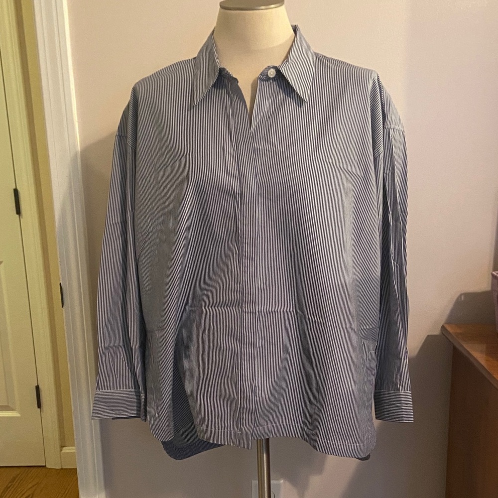 Banana Republic Blue and White Striped Shirt